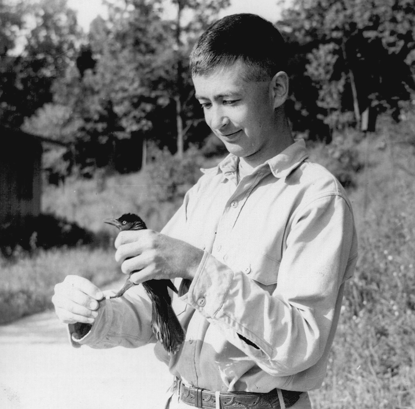 E. Alexander Bergstrom Eholding a Common Grackle that he had banded in his yard in West Hartford, CT in 1953
