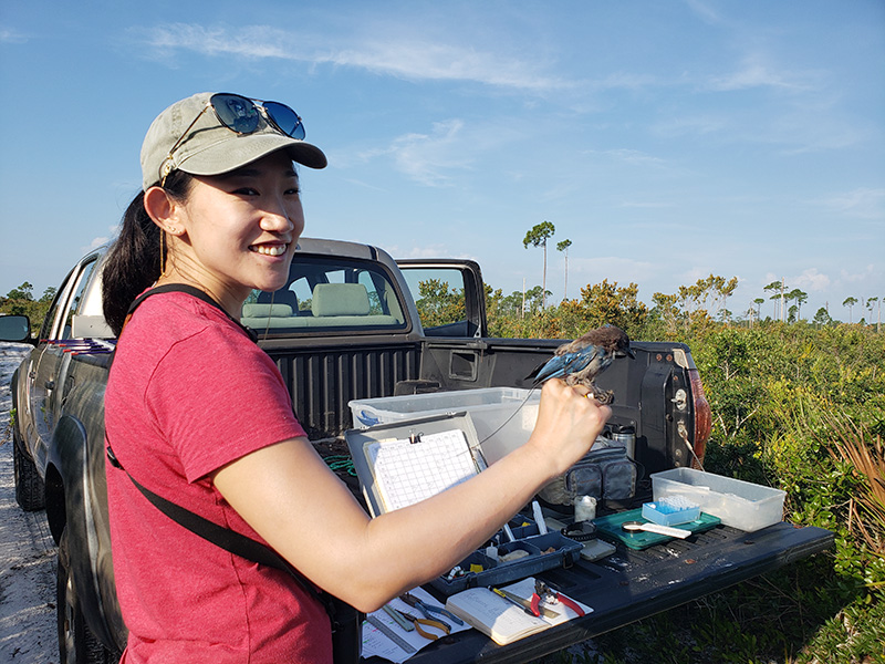 Researcher Young Ha Suh with a Florida Scrub Jay